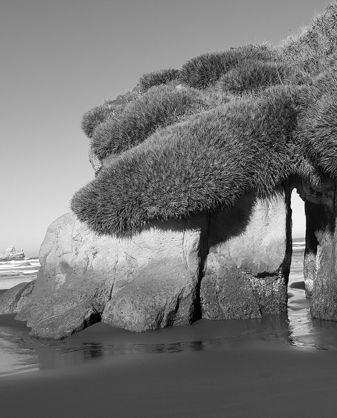 Tendencias temáticas de constituyentes